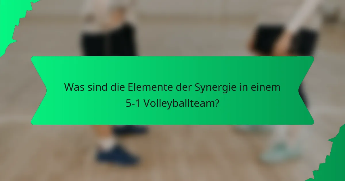 Was sind die Elemente der Synergie in einem 5-1 Volleyballteam?